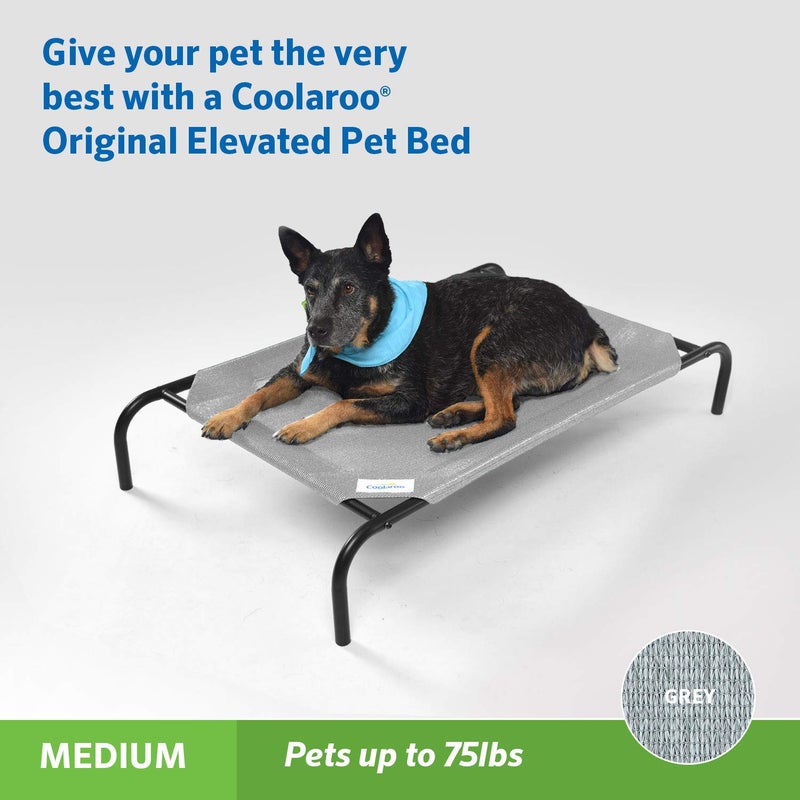 Coolaroo Original Elevated Dog Bed - Breathable Off-The-Ground Pet Bed with Cooling Fabric, Joint Relief & Moisture-Resistant Fabric, 100% Recyclable, Easy Clean, Grey, Medium - Image 2